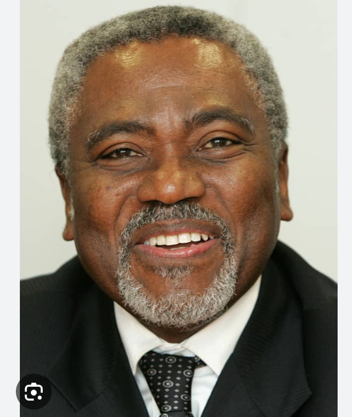 Raymond Ramazani Baya, 7 ans apr&egrave;s : hommage &agrave; un homme d&rsquo;&Eacute;tat et de plume